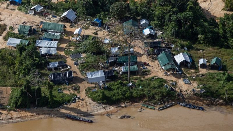 Indígenas ianomâmi que haviam sumido são localizados longe de comunidade