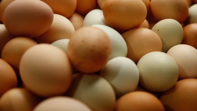 A galinha chorou, e o consumidor também: ovos sobem mais de 200% acima da inflação