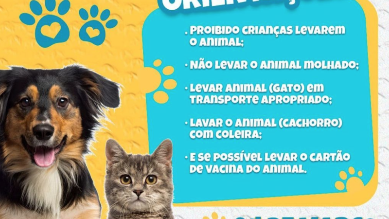 Quebrangulo lança campanha de vacinação antirrábica 2023