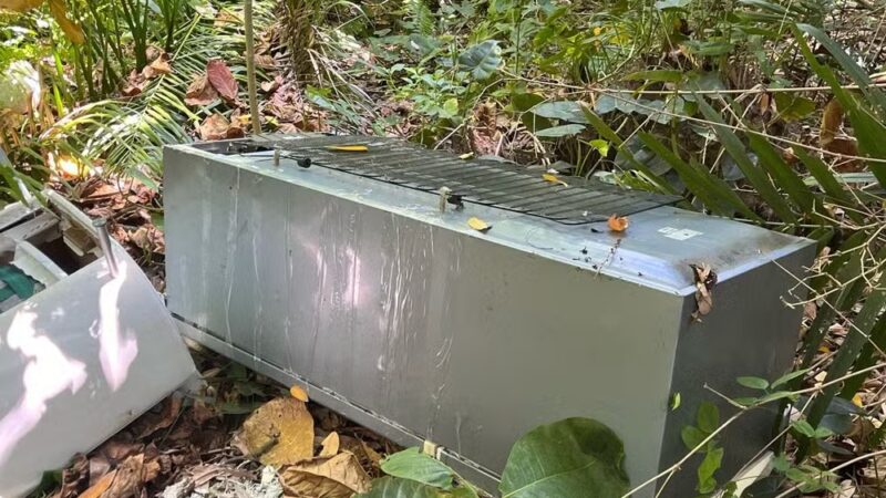 Adolescente apreendida por participação em crime após mãe ser encontrada morta em geladeira em Maceió