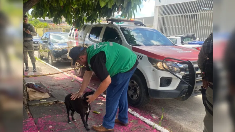 Morador de rua é encontrado morto e cadela se recusa a sair de perto do corpo