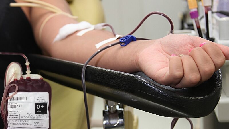 Hemoal promove coleta externa de sangue em Arapiraca nesta sexta-feira