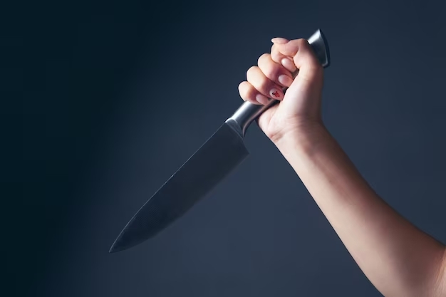 PC prende em Maceió mulher que matou cuidadora da mãe com 23 facadas
