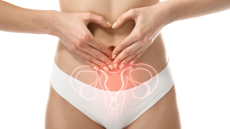 O futuro promissor no tratamento da endometriose: Um novo remédio em estudo