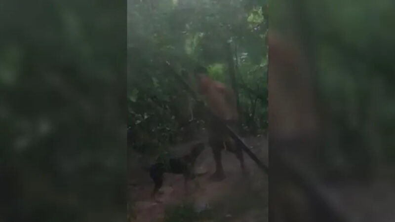 Suspeito de zoofilia alega estar bêbado e nega crime