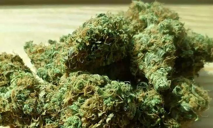 Bebê morre após consumir bala de maconha do pai