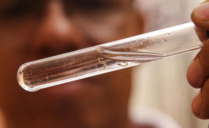 Sesau disponibiliza vacina da dengue para municípios da I Região de Saúde