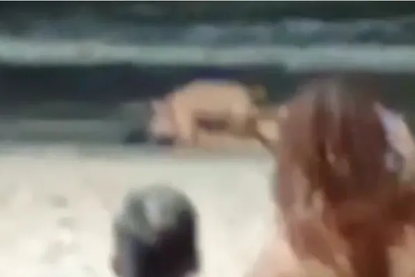 Homem flagrado fazendo sexo na orla é policial da Justiça Federal do CE, diz PC