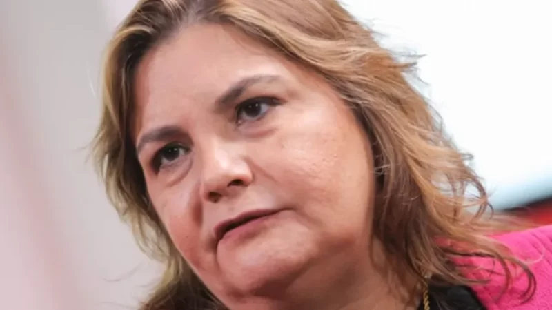 Secretária de Saúde comenta sobre mortes de crianças