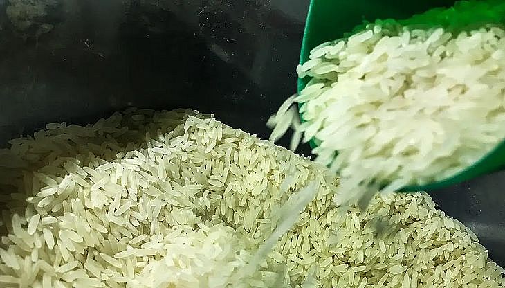 Leilão de arroz foi adiado após alta de preços no Mercosul, diz ministro da Agricultura