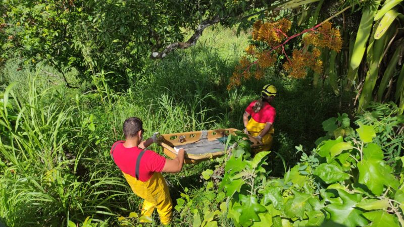 Corpo de Bombeiros é acionado para resgate de cadáver na zona da mata