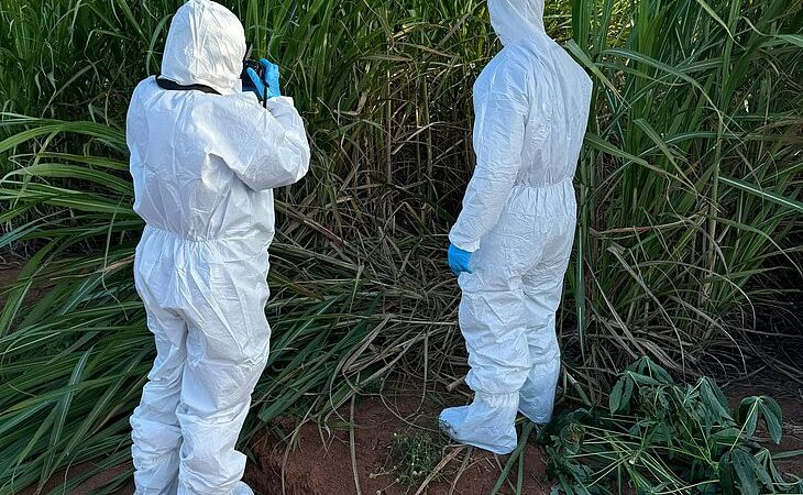Corpo de jovem encontrado em São Sebastião ainda não foi reconhecido oficialmente