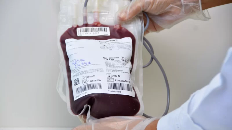 Hemoal realiza coleta externa em Coruripe nesta quinta-feira (18) para estabilizar estoque crítico de sangue