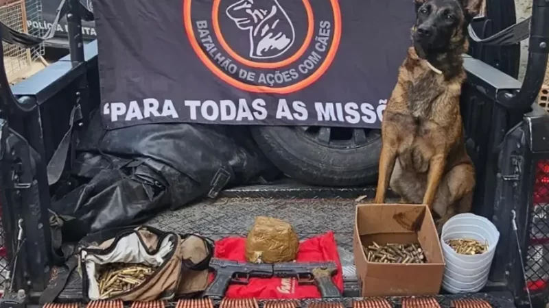 Pistolas e grande quantidade de munições são encontrados pela polícia