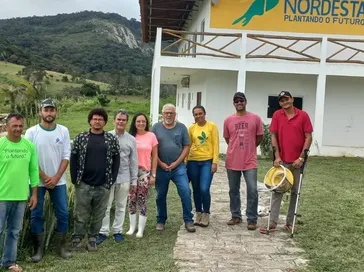 Própolis encontrada em AL, pode revolucionar tratamento anti-inflamatório, afirmam pesquisadores