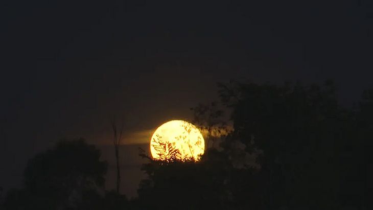 Superlua azul ocupará o céu nesta segunda (19); saiba como observar