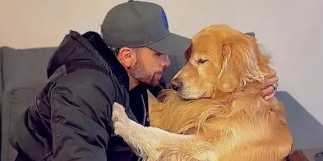 Justiça decide arquivar inquérito que investigava morte do cão Joca