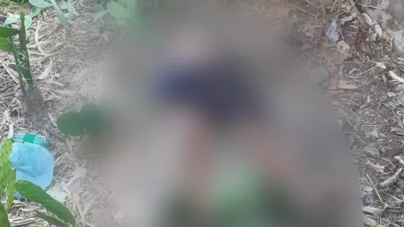 Homem é encontrado morto e seminu em terreno baldio