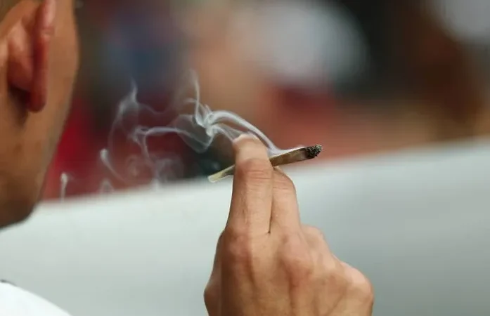 7 em cada 10 alagoanos são contra a descriminalização do uso da maconha