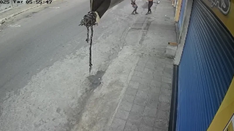 Câmera flagra mulher sendo esfaqueada e agredida com socos durante assalto