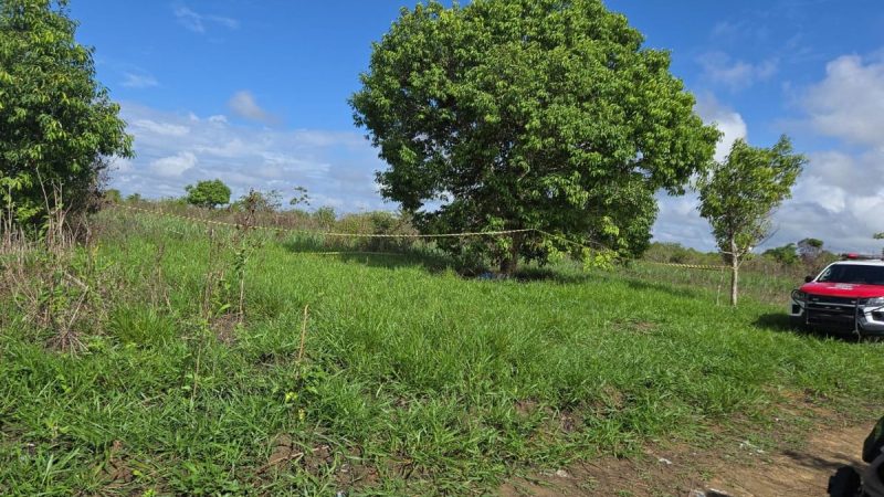 Jovem é assassinado e corpo é abandonado embaixo de árvore, em Maceió