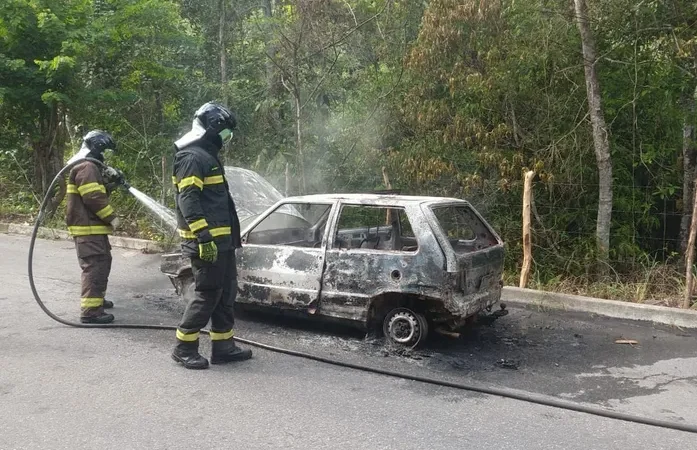 Carro é consumido por fogo em incêndio no interior de AL