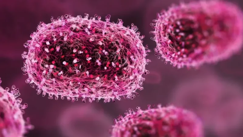 Mpox: veja sintomas e comparação com números de casos no ano passado