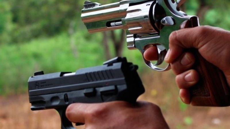 Senado pode derrubar decreto de armas e endurecer pena para furto de celular