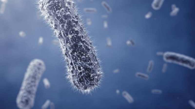 Superbactéria resistente a antibióticos é detectada em UTI de hospital de Campinas e sete pacientes são isolados