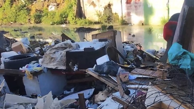 Ponto de descarte de lixo vira risco de proliferação da dengue em Arapiraca