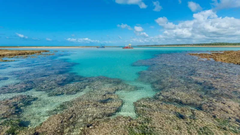 Saiba qual praia de Alagoas está entre as 100 melhores do mundo