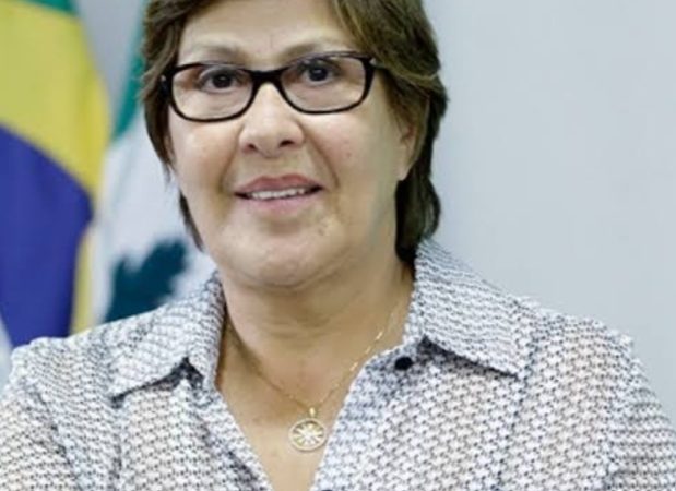 Célia Rocha é cotada para vice em chapa de JHC ao Governo de Alagoas em 2026